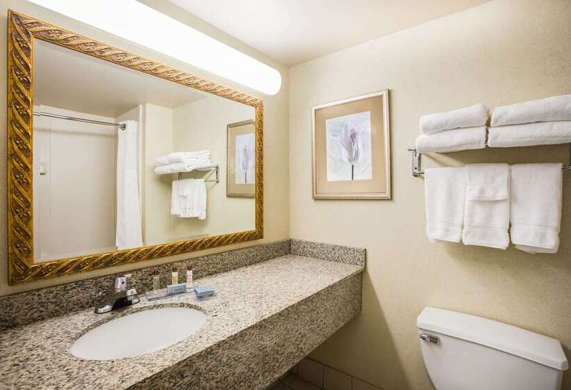 هتل Wingate By Wyndham Atlanta Galleria/ Ballpark