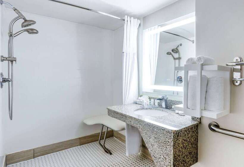 هتل Wingate By Wyndham Atlanta Galleria/ Ballpark