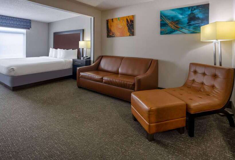 هتل Wingate By Wyndham Atlanta Galleria/ Ballpark
