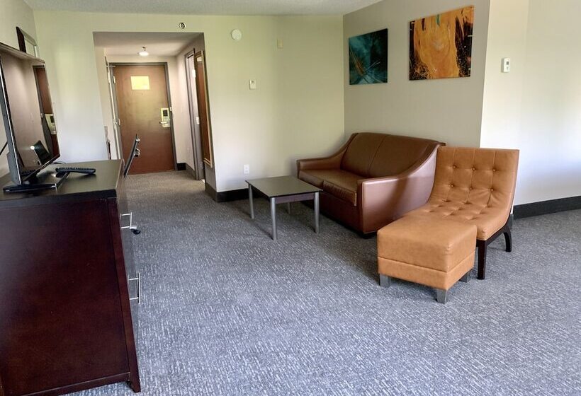 هتل Wingate By Wyndham Atlanta Galleria/ Ballpark