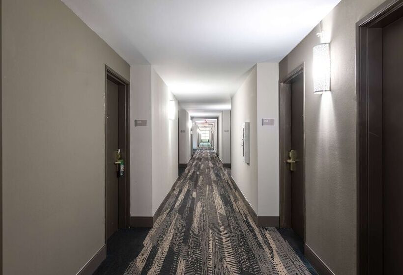 호텔 Wingate By Wyndham Charlotte Concord Mills/speedway