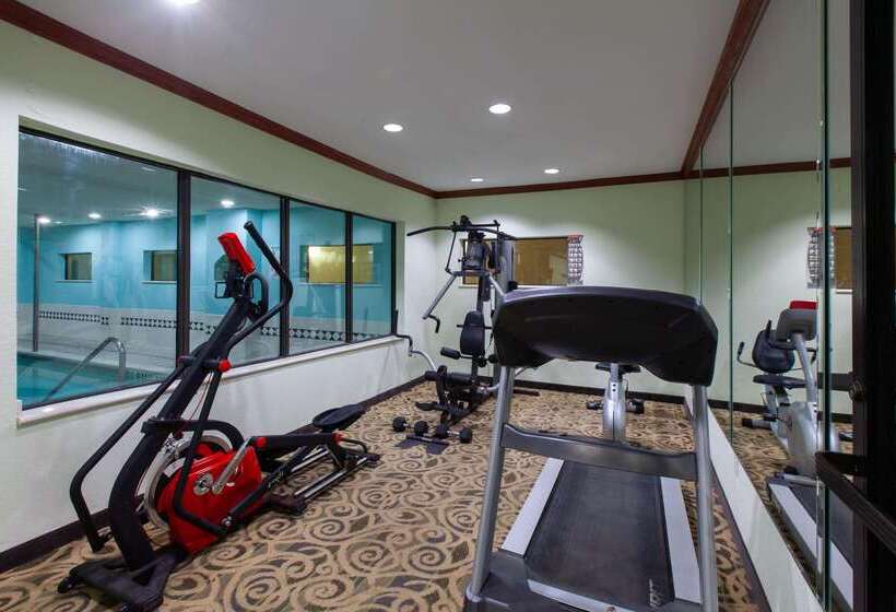 هتل Wingate By Wyndham Houston / Willowbrook