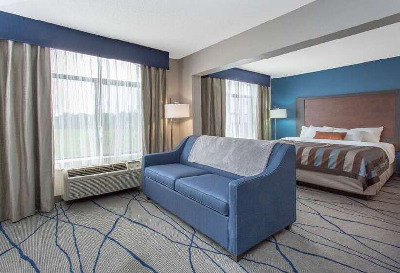 هتل Wingate By Wyndham Indianapolis Airport Plainfield