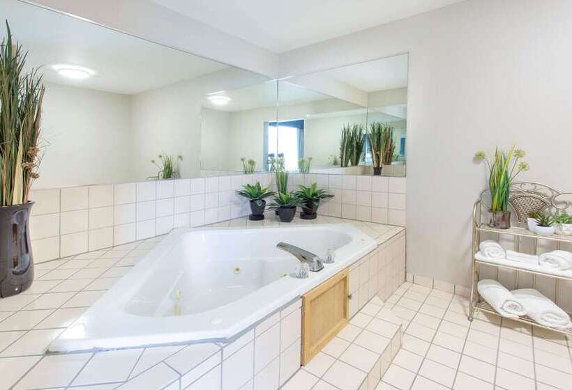 هتل Wingate By Wyndham Indianapolis Airport Plainfield