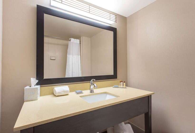 هتل Wingate By Wyndham Indianapolis Airport Plainfield