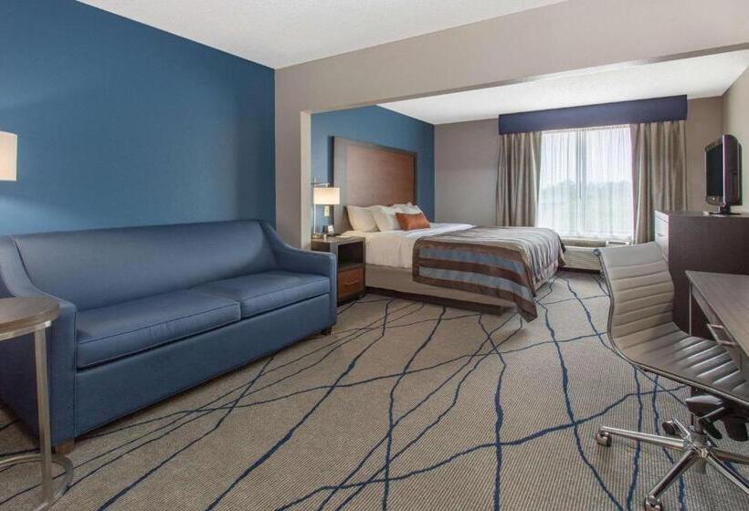 هتل Wingate By Wyndham Indianapolis Airport Plainfield
