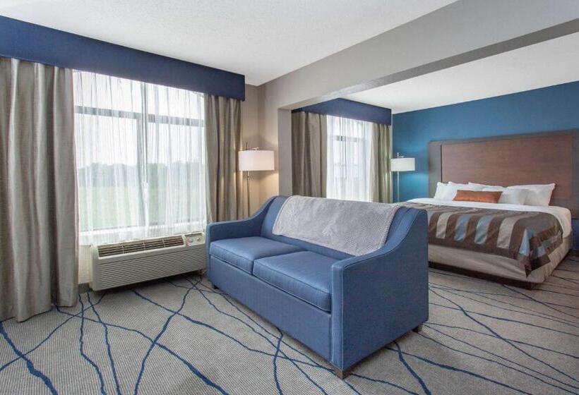 هتل Wingate By Wyndham Indianapolis Airport Plainfield