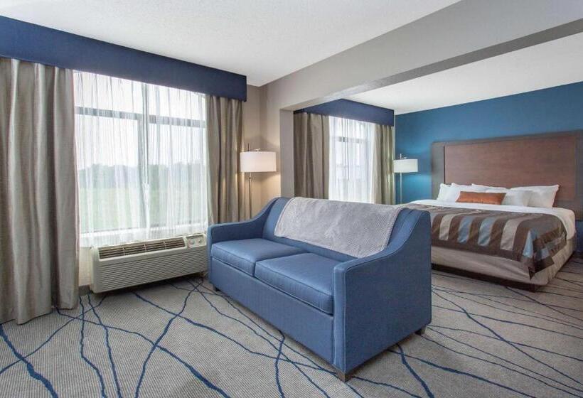 Hotel Wingate By Wyndham Indianapolis Airport Plainfield