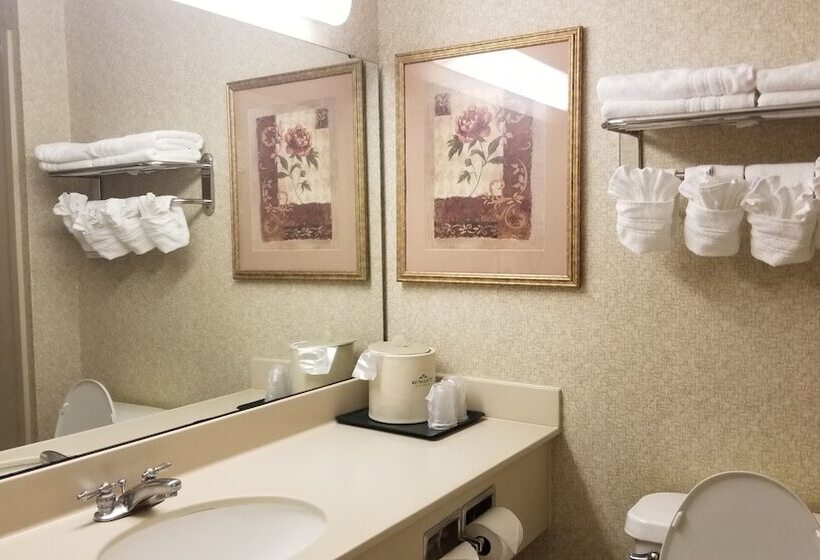 בית מלון כפרי Wingate By Wyndham Airport   Rockville Road