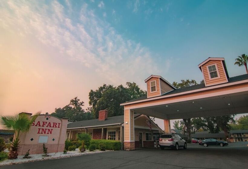 汽车旅馆  Safari Inn  Chico