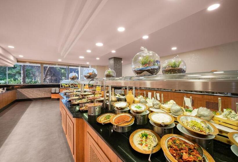 استراحتگاه Pine Beach Belek