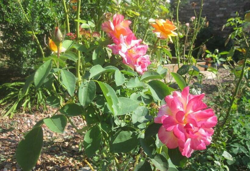 مبيت وإفطار Le Mas Lauralie