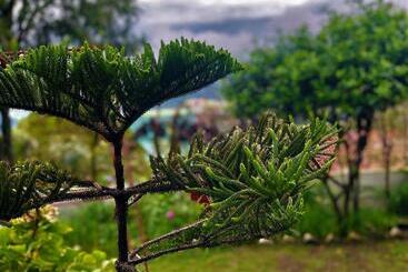 تختخواب و صبحانه Solan Retreat