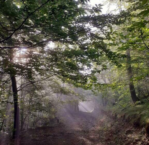 בית מלון כפרי Orso Momo