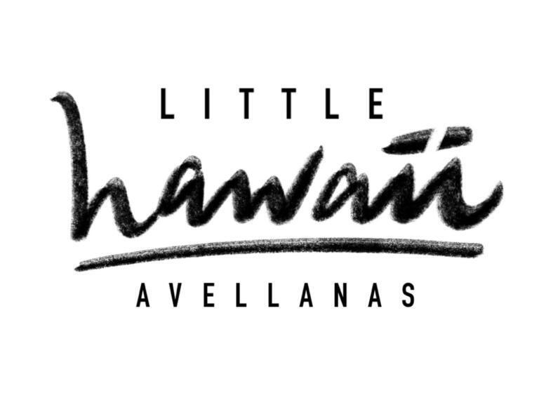 פנסיון Little Hawaii Avellanas
