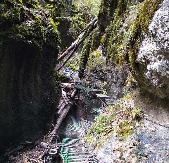 پانسیون Turistická Ubytovňa Hornád