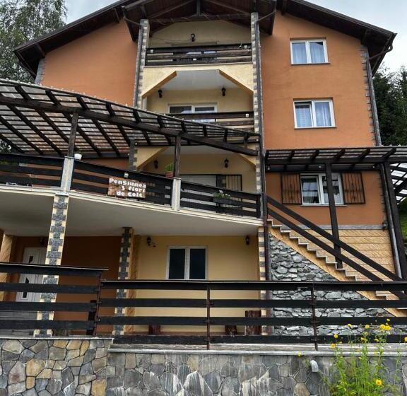 Pensiunea 3flori De Colț