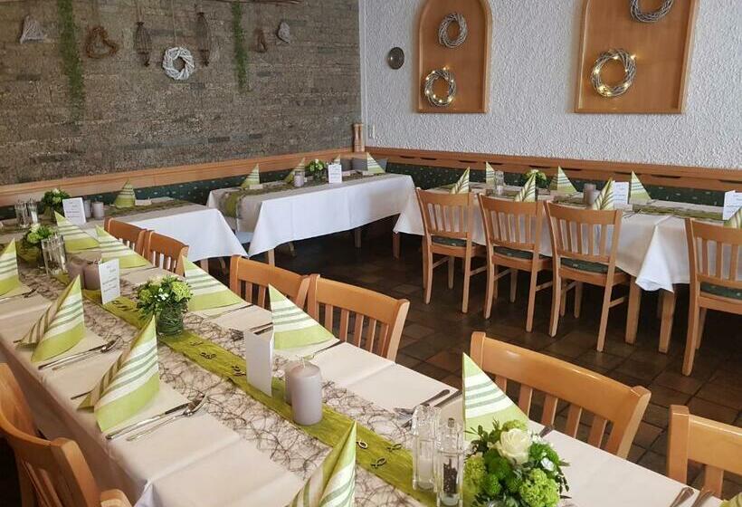 Общежитие Gasthof Pension Weißes Rössl