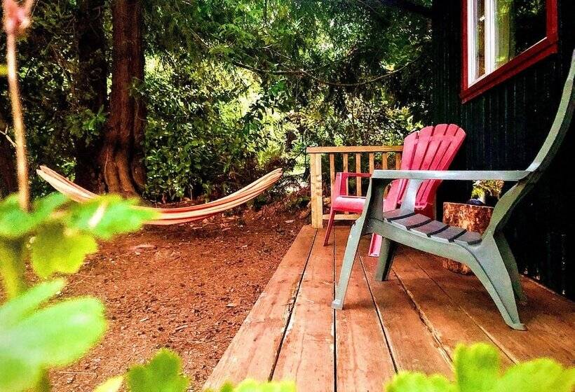 Общежитие Up The Creek Backpacker's Lodge
