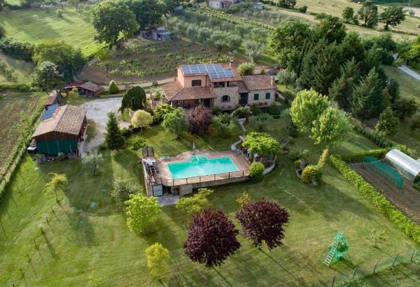 B&b Pino Cedro