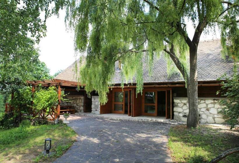 تختخواب و صبحانه Pajta Villa