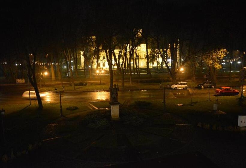 هتل Central Carei