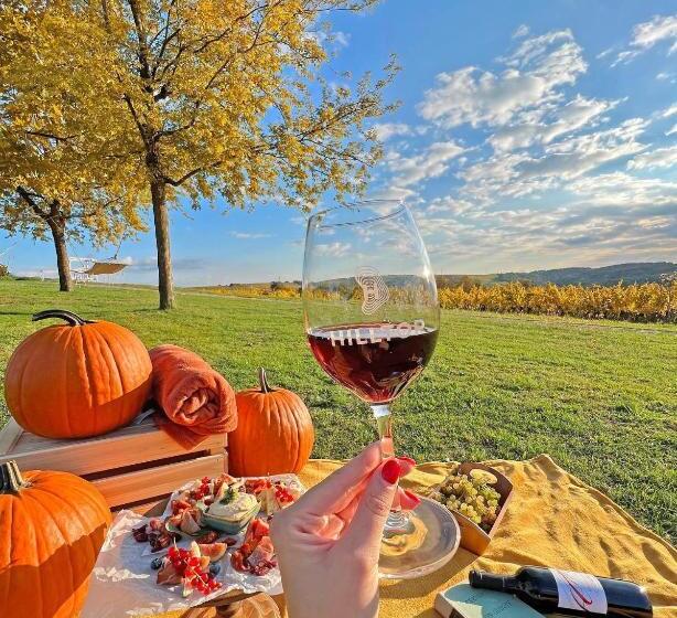 فندق Hilltop Borbirtok & étterem