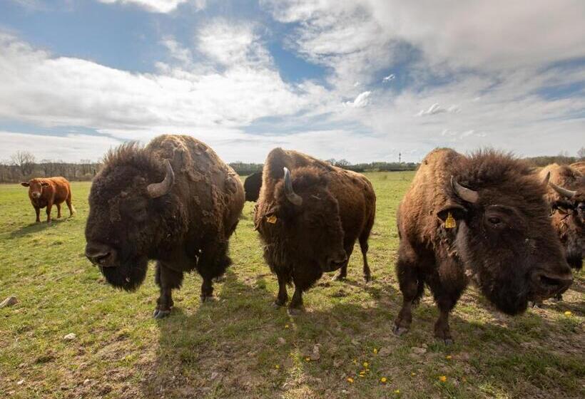 호텔 Residence Safari Resort Bison Lodge