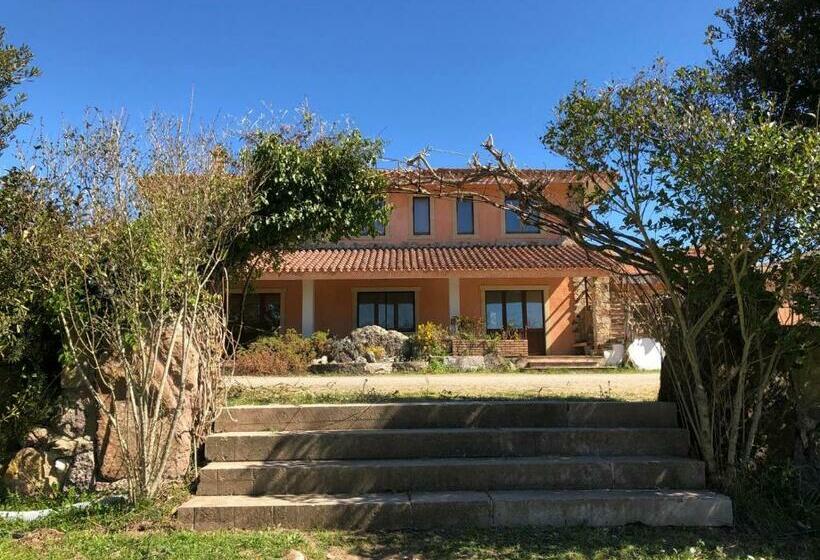 فندق Sa Tanchitta