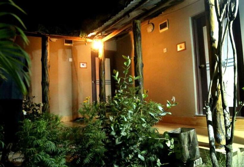 בית מלון כפרי Solitary Nook