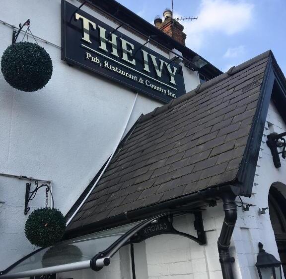 Отель The Ivy