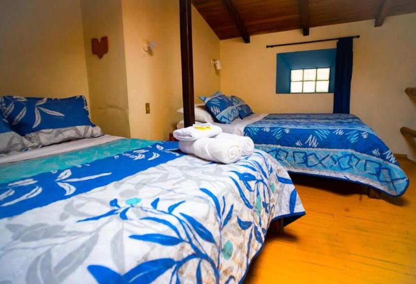 پانسیون Hostal Jardín Escondido