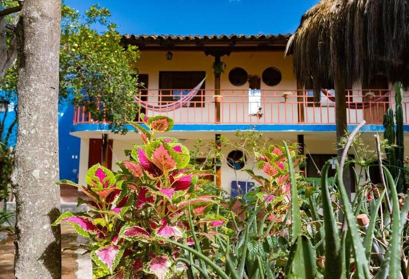 پانسیون Hostal Jardín Escondido