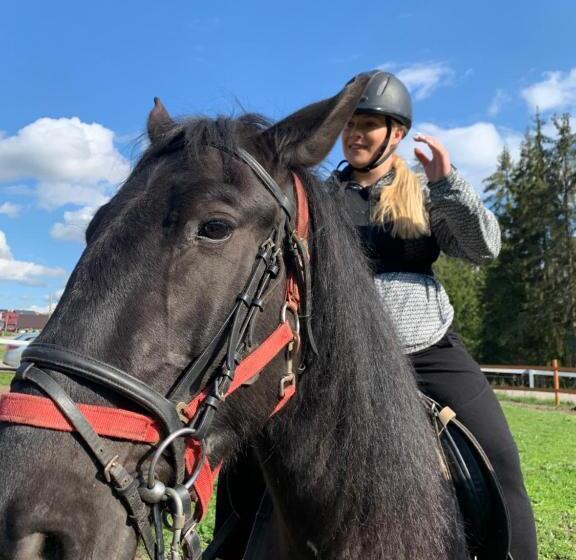 פנסיון Villa Montana Borsec