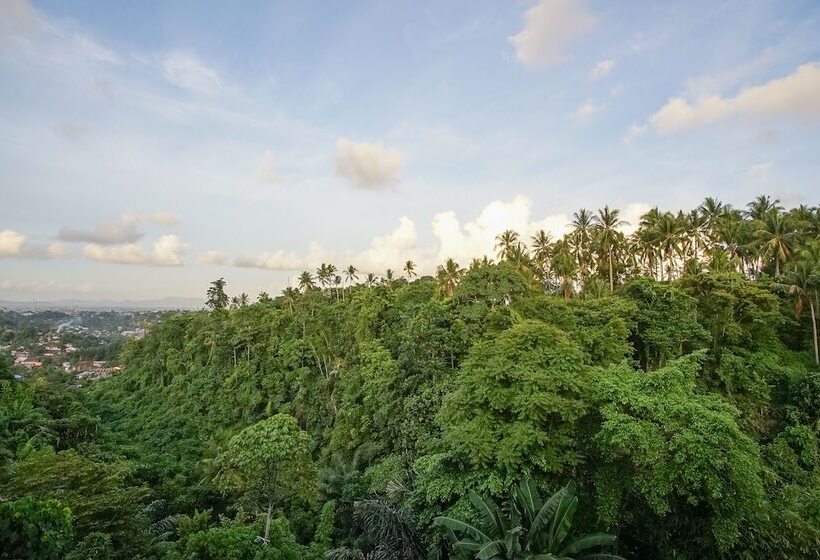 بنسيون Villa Robert