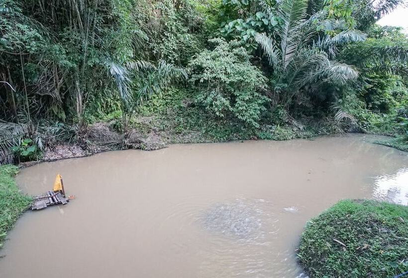 بنسيون Villa Robert