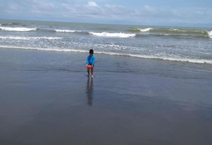 پانسیون Zéfiro Hostal