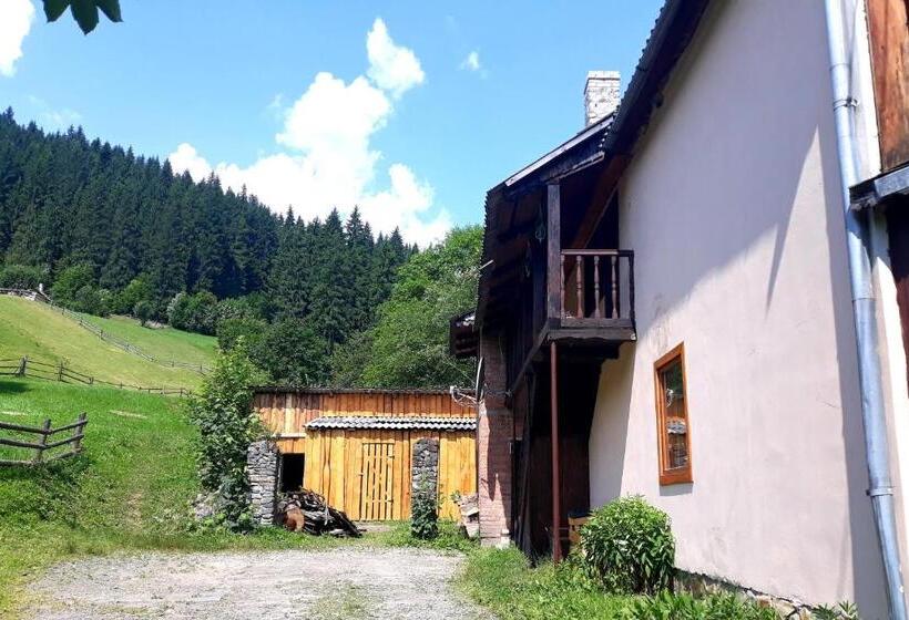 فندق صغير Dzherelo