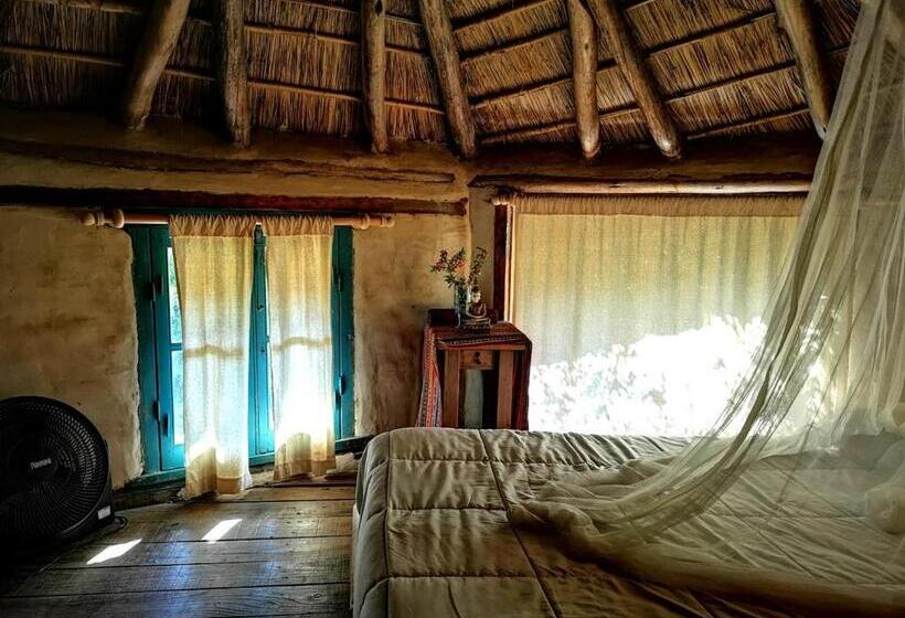 هاستل Octogono Om Shanti