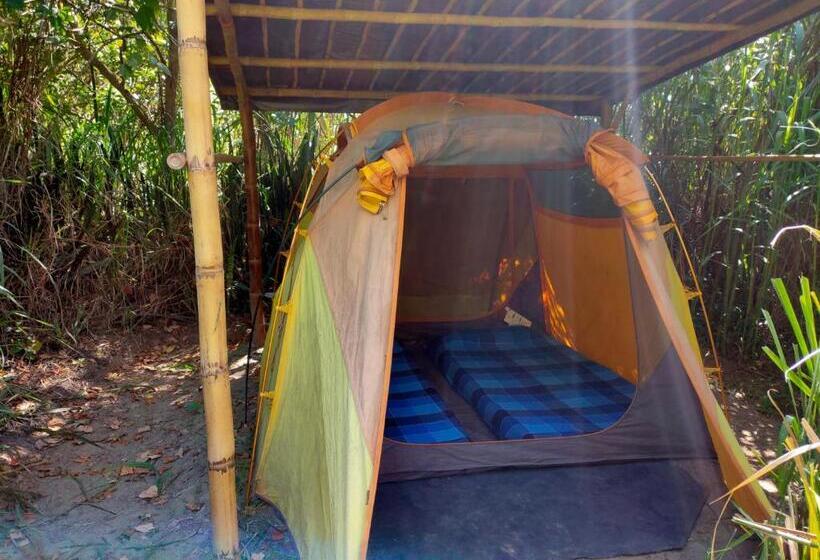 هاستل Rumi Wilco Ecolodge & Nature Reserve Cabañas & Camping
