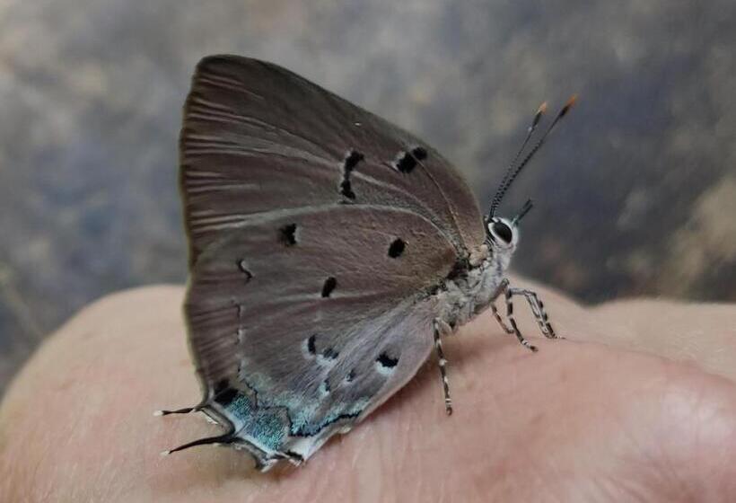 هاستل Rumi Wilco Ecolodge & Nature Reserve Cabañas & Camping