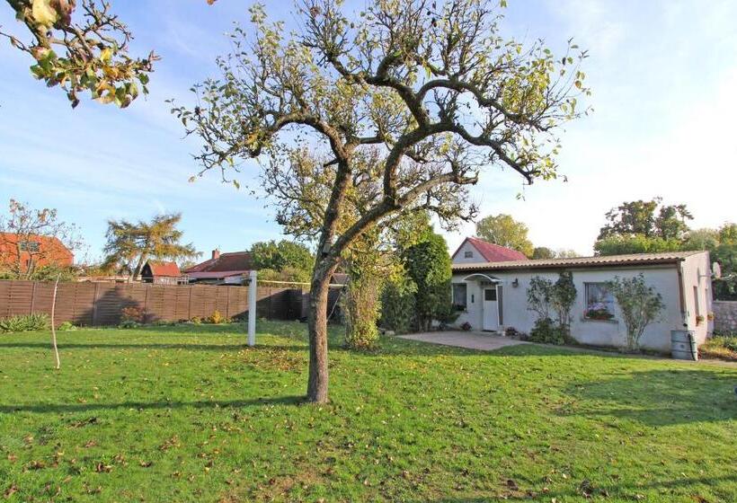 Отель Ferienhaus Liepgarten Vorp 1001