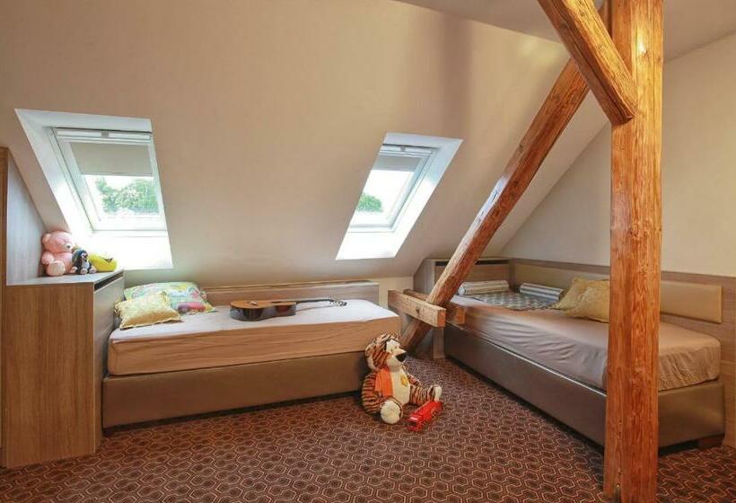 ホテル Vysocina Design Apartments