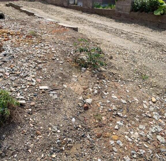 بنسيون Cozy Penguin House Bibai