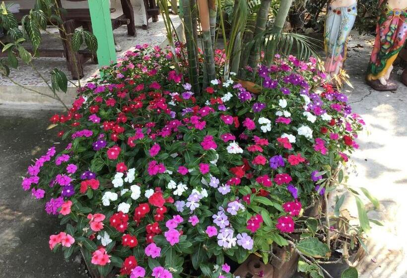 بنسيون Daddy S Homestay