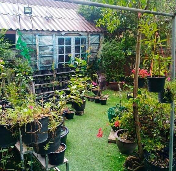 بنسيون Daddy S Homestay