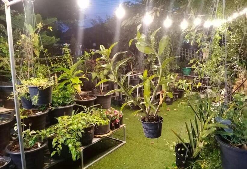 بنسيون Daddy S Homestay