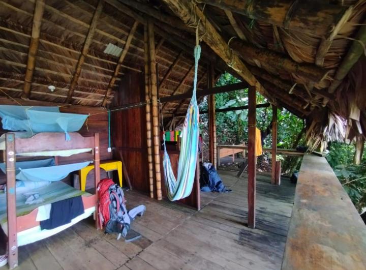 پانسیون The Humpback Turtle