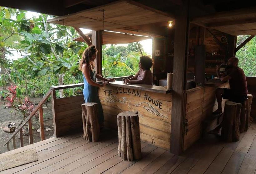 بنسيون The Pelican House Hostel