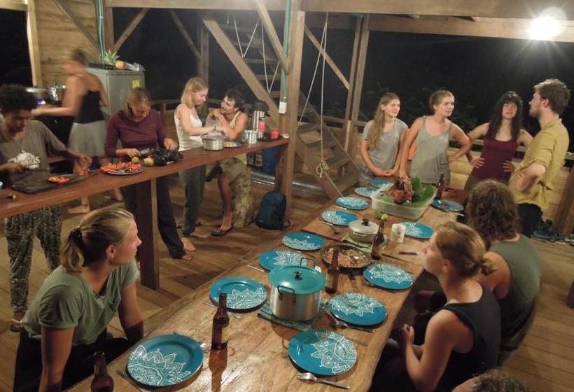 بنسيون The Pelican House Hostel